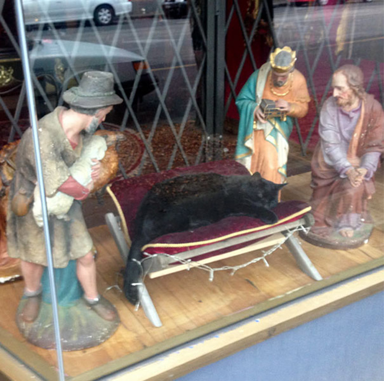 cats-crashing-nativity-scenes