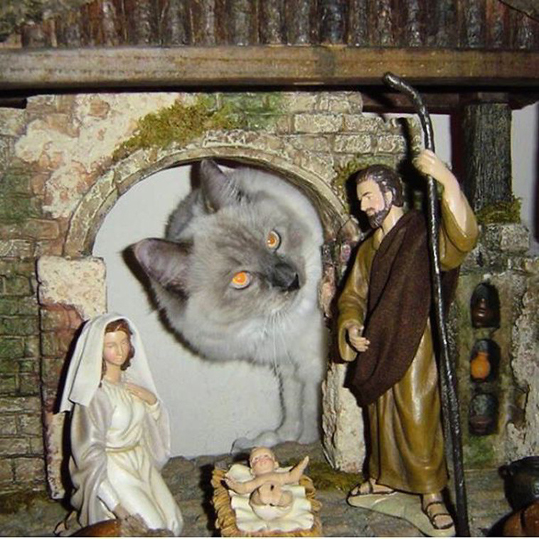 cats-crashing-nativity-scenes