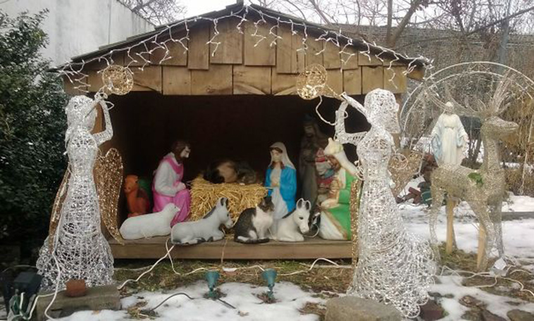 cats-crashing-nativity-scenes