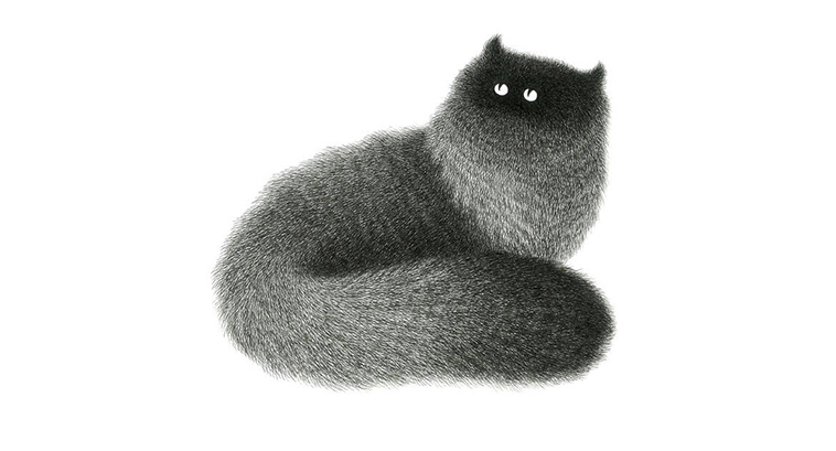 fluffy-black-cat-ink-drawings
