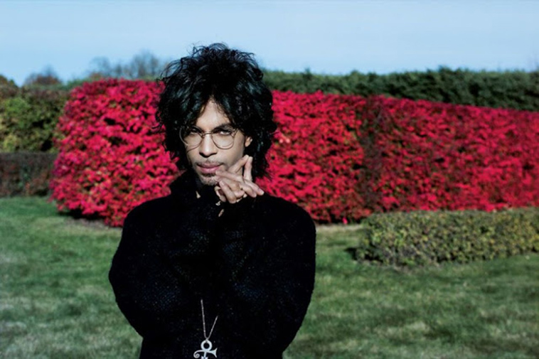 prince by steve parke