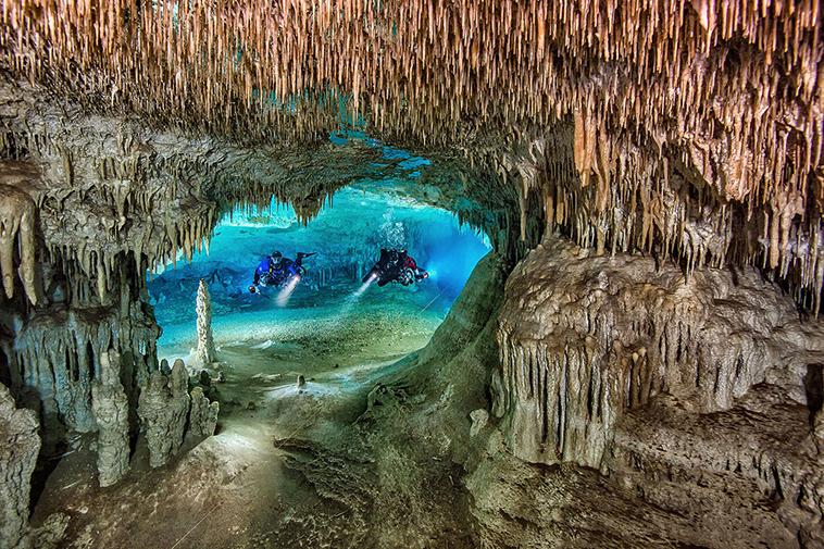 winning pictures Underwater Photographer Year 2018