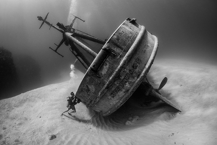 winning pictures Underwater Photographer Year 2018