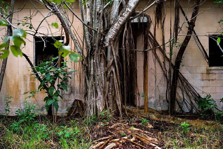 Johnny Joo Forgotten Structures