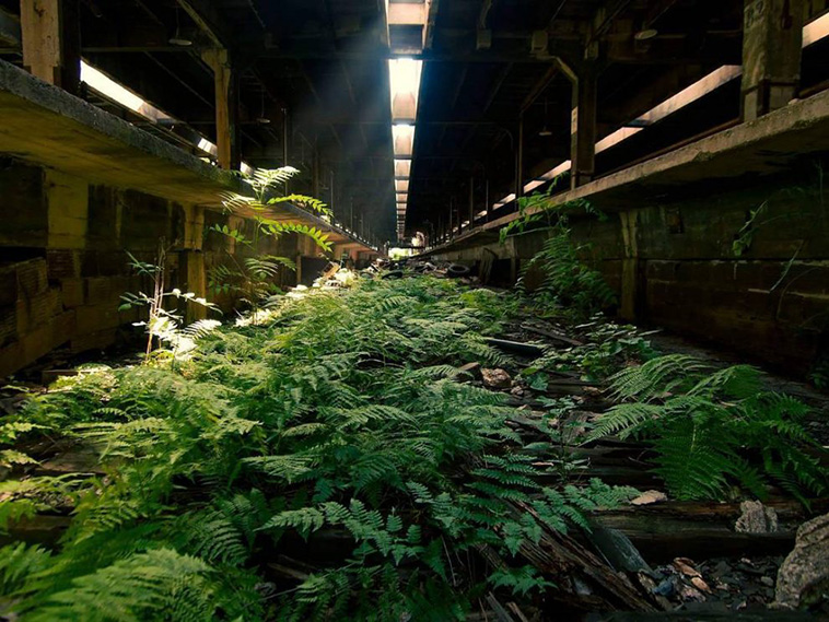 Johnny Joo Forgotten Structures