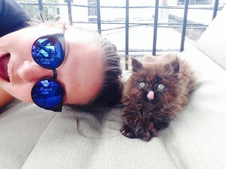 Runt-fur-baby-becomes-massive-fluffy-cuddle-monster