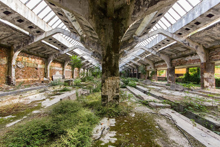 abandoned worlds reclaimed by nature
