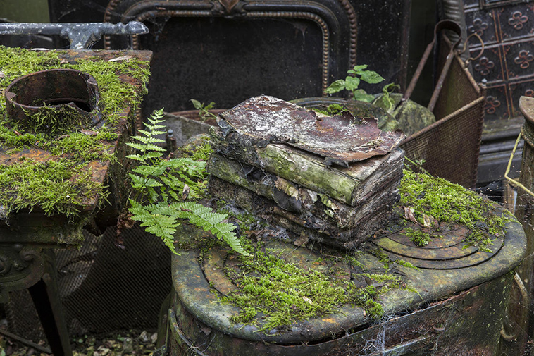 abandoned worlds reclaimed by nature