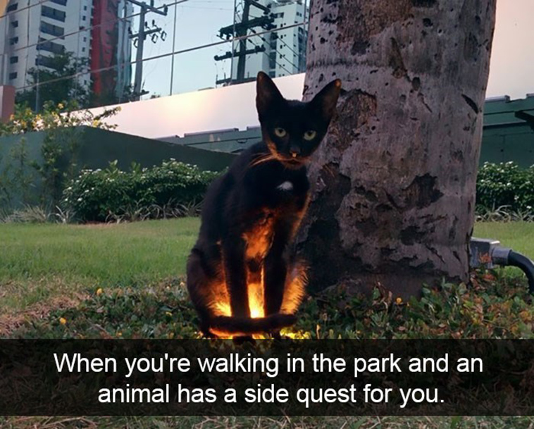 animal snapchats