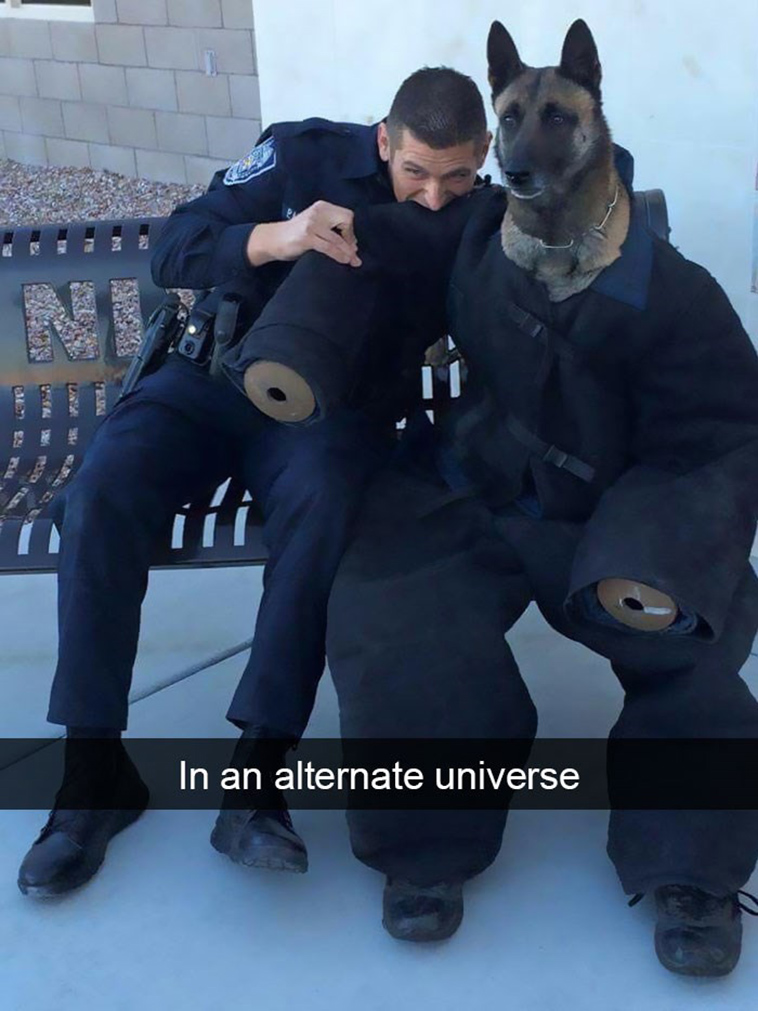 animal snapchats