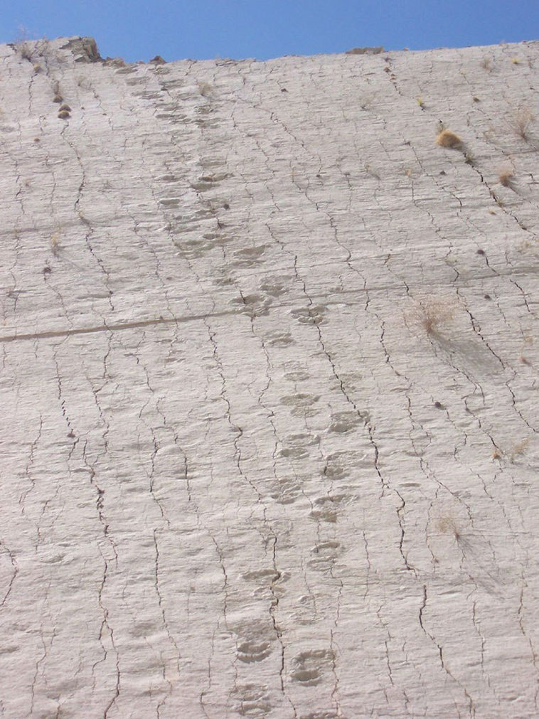 cal orko wall of dinosaur footprints sucre bolivia