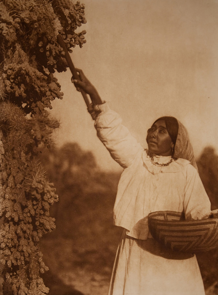 everyday life for native americans 1900s