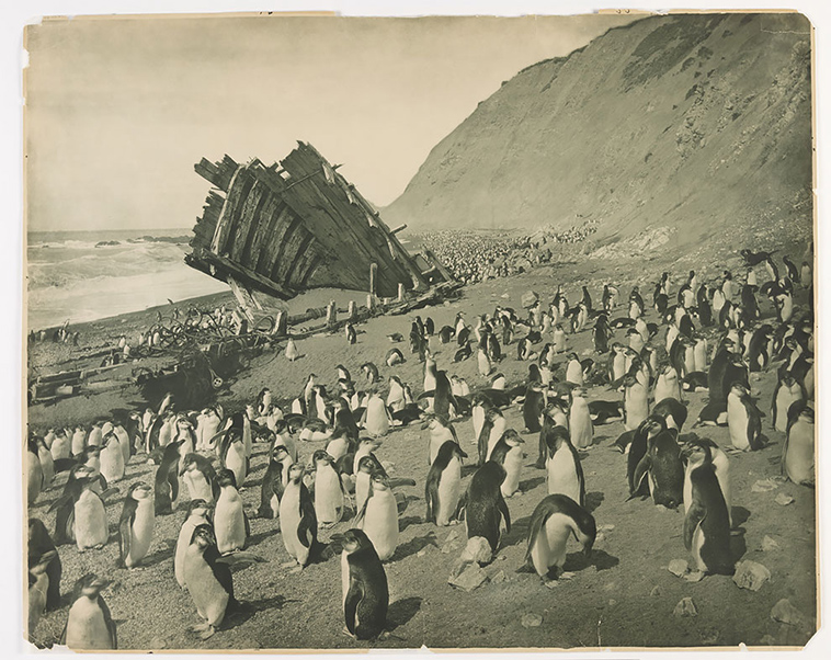 first australasian antarctic expedition between 1911 1914