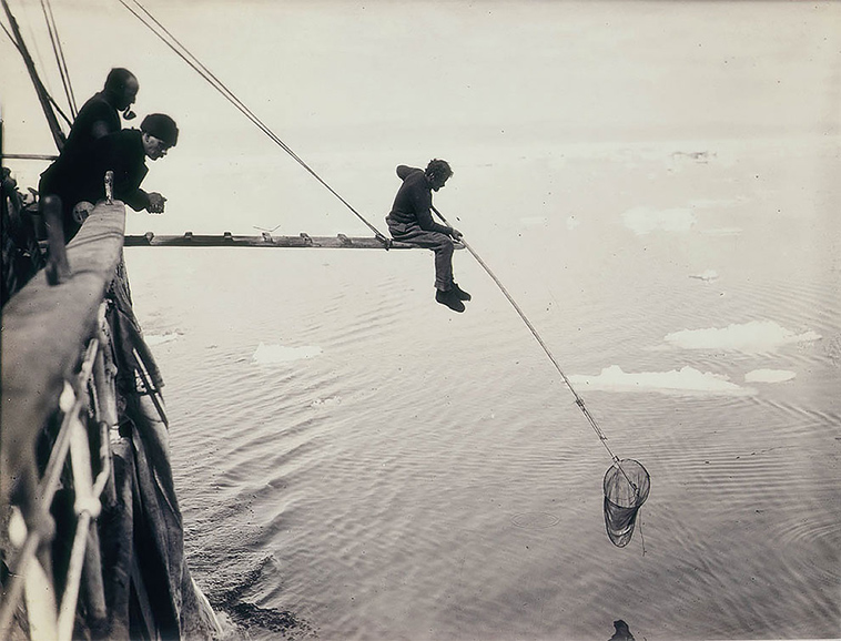 first australasian antarctic expedition between 1911 1914
