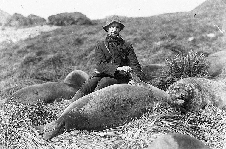 first australasian antarctic expedition between 1911 1914