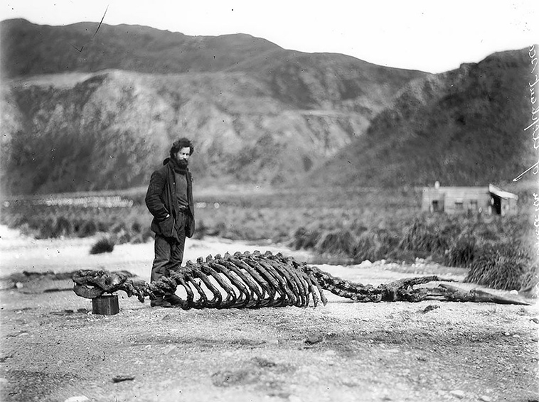 first australasian antarctic expedition between 1911 1914