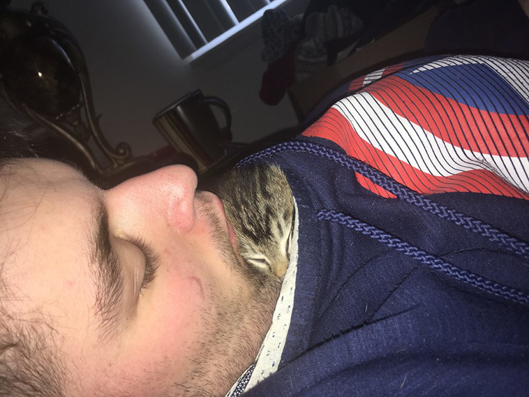 man gave kitten a home