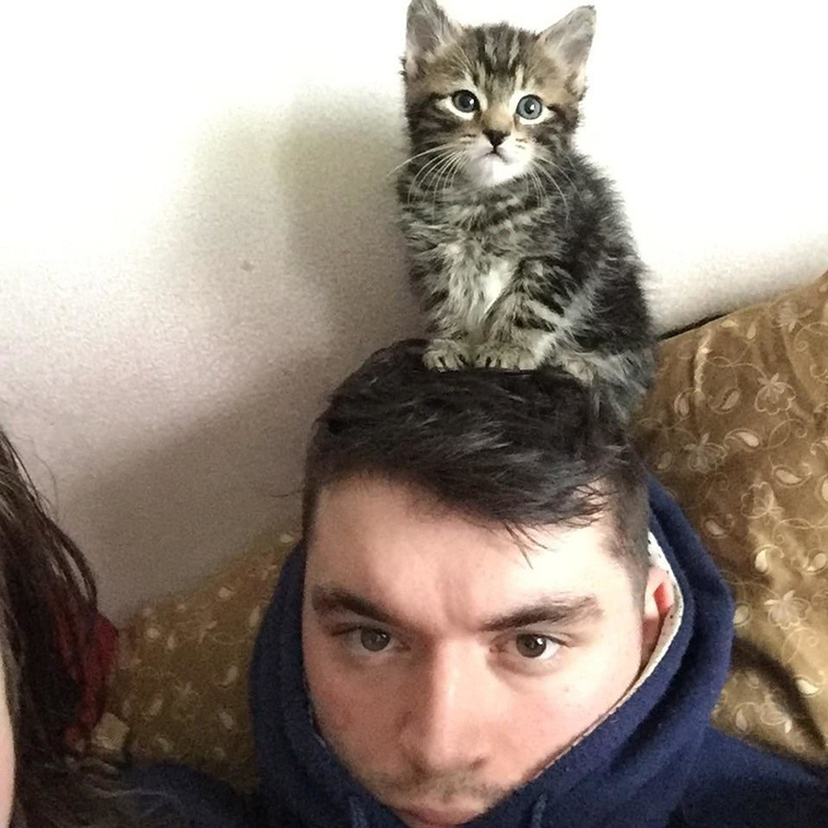 man gave kitten a home