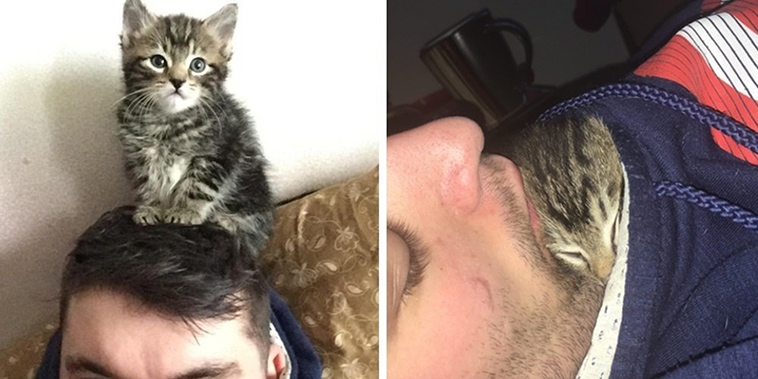 man gave kitten a home