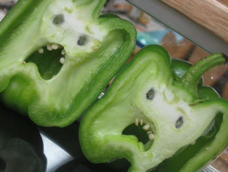 pareidolia-seeing-funny-faces-everywhere
