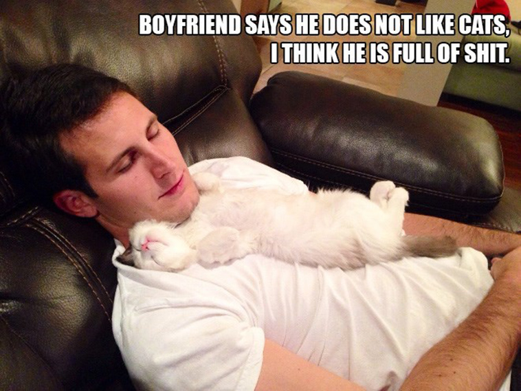 people who said they didnt want a cat