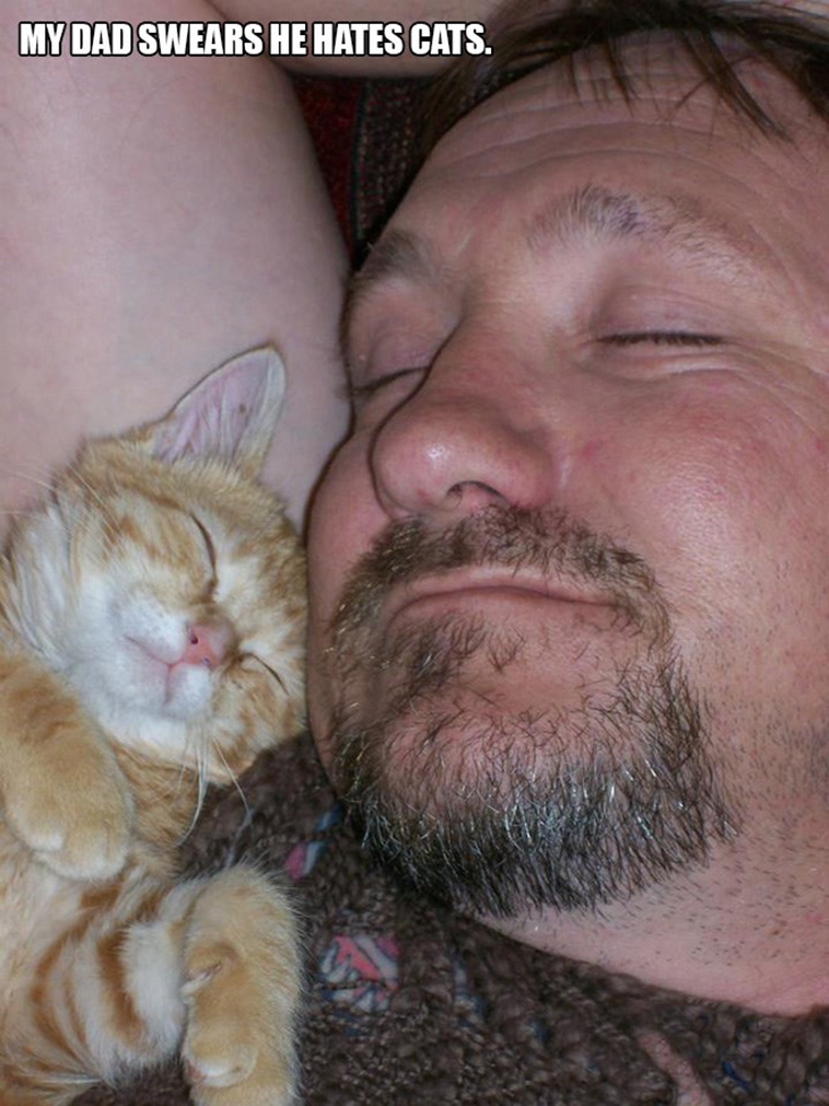people who said they didnt want a cat