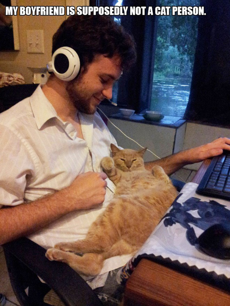 people who said they didnt want a cat