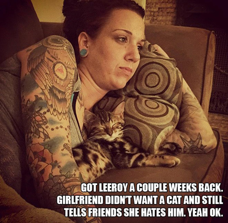 people who said they didnt want a cat