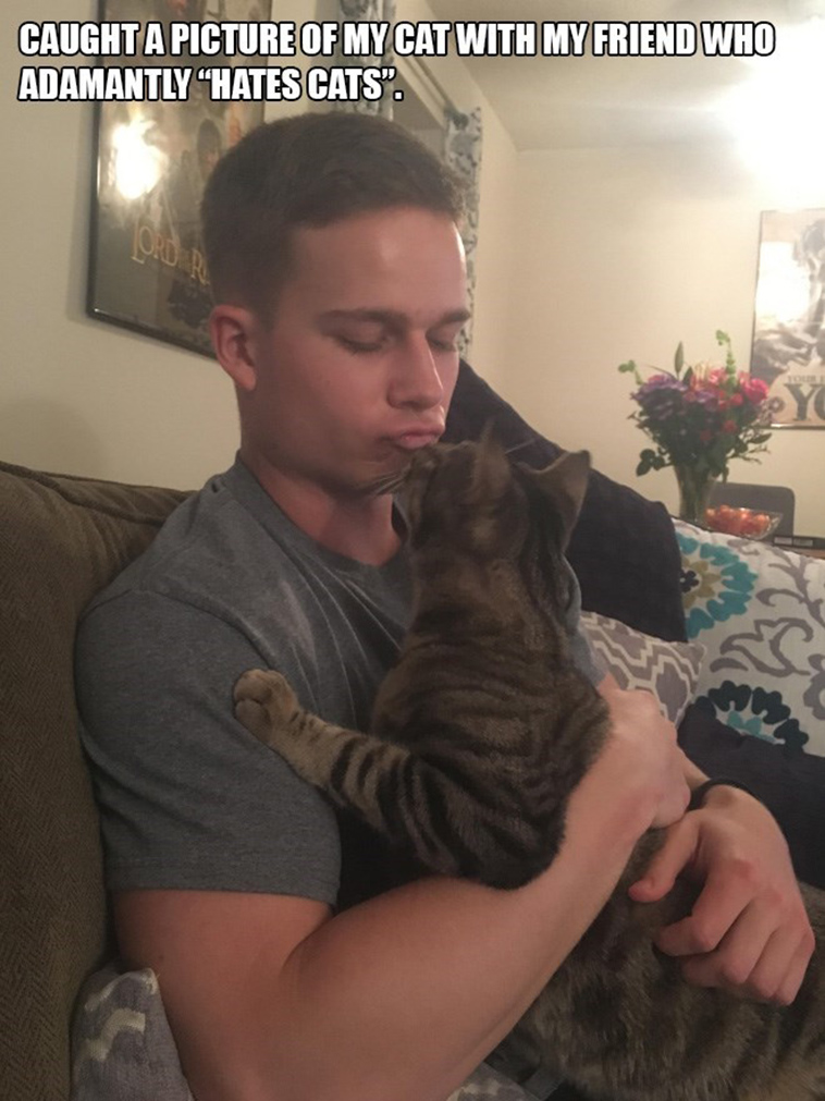people who said they didnt want a cat