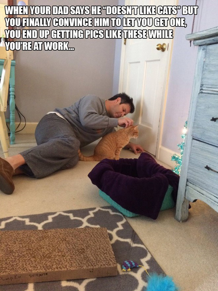 people who said they didnt want a cat