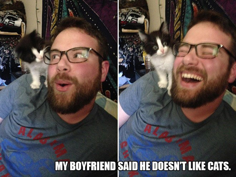 people who said they didnt want a cat