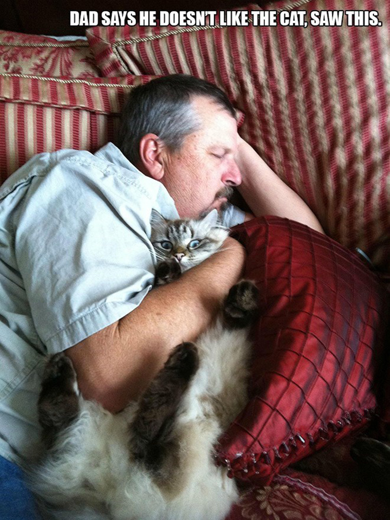 people who said they didnt want a cat