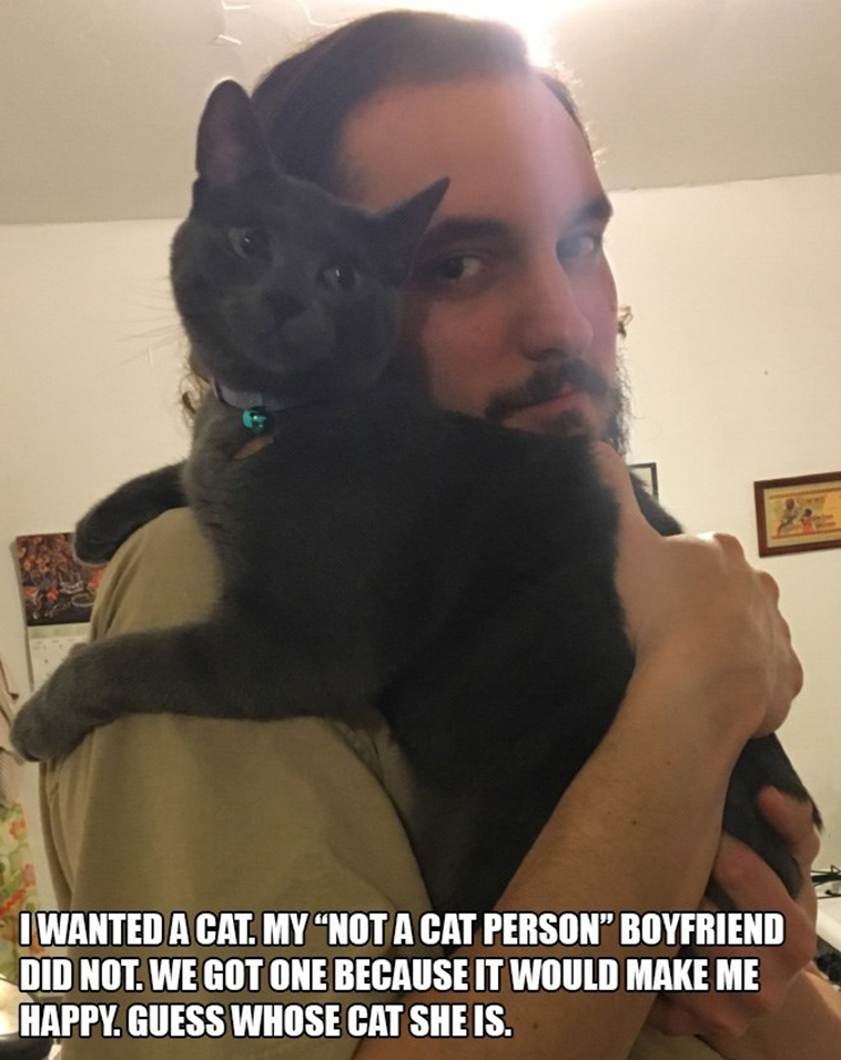 people who said they didnt want a cat
