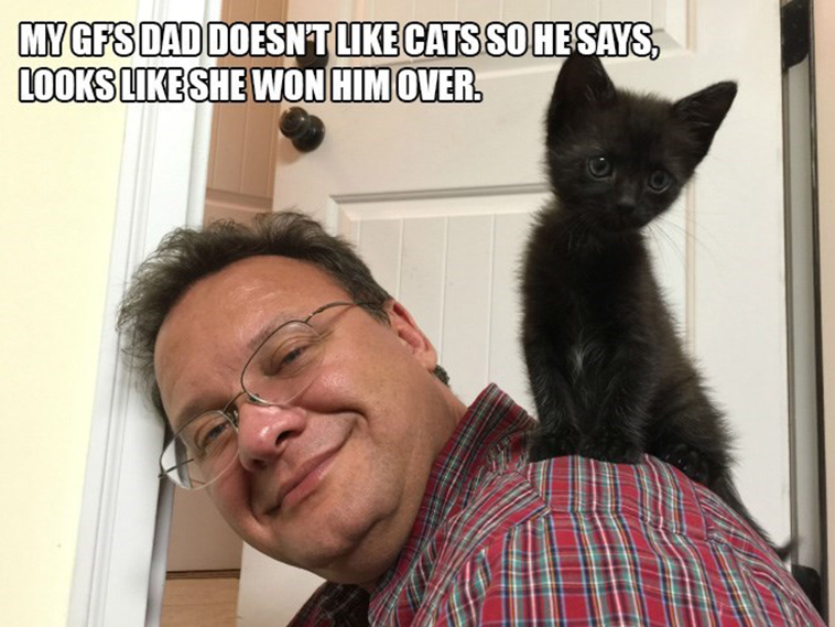 people who said they didnt want a cat