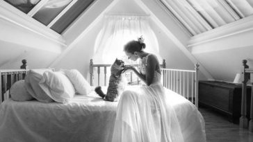 wedding private shoots with cats