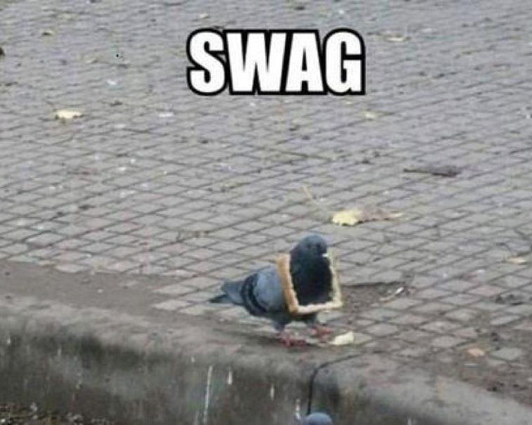 Animals That Are So Outrageously Unfortunate