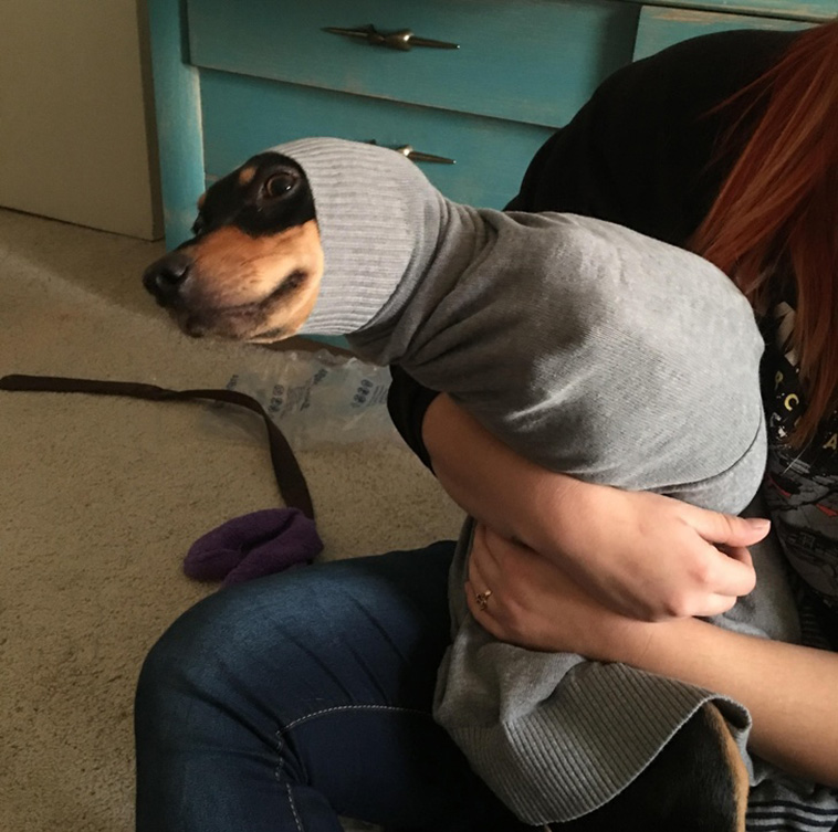 Animals That Are So Outrageously Unfortunate