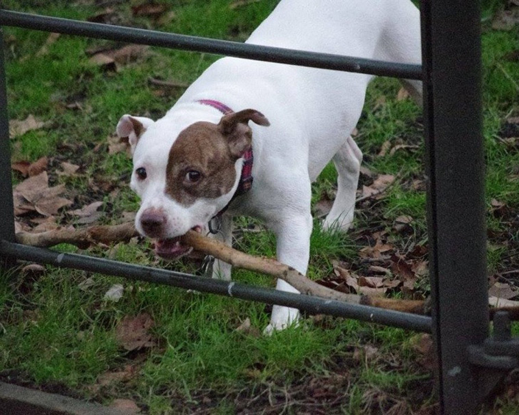 Animals That Are So Outrageously Unfortunate