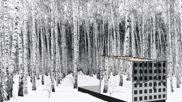 House that Disappears in Nature