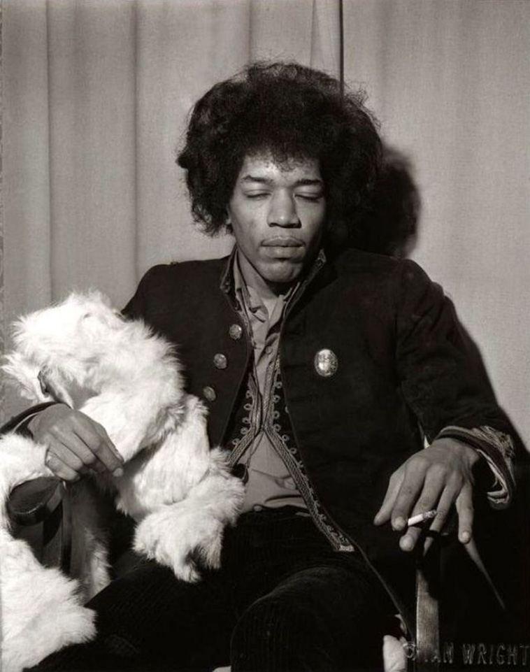 Rock Stars With Their Pets