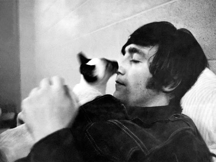 Rock Stars With Their Pets