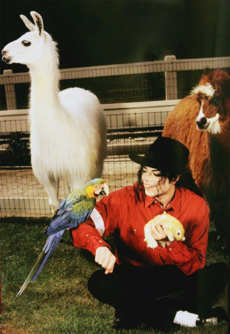 Rock Stars With Their Pets