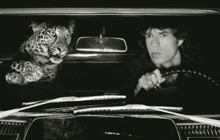Rock Stars With Their Pets