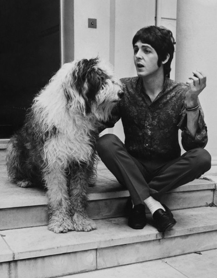 Rock Stars With Their Pets