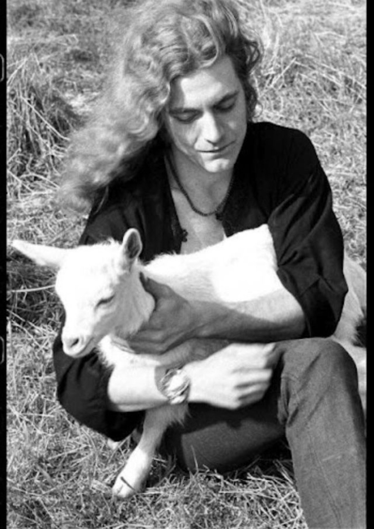 Rock Stars With Their Pets