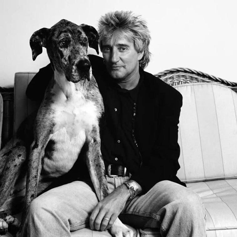 Rock Stars With Their Pets