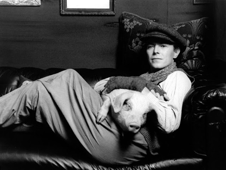 Rock Stars With Their Pets