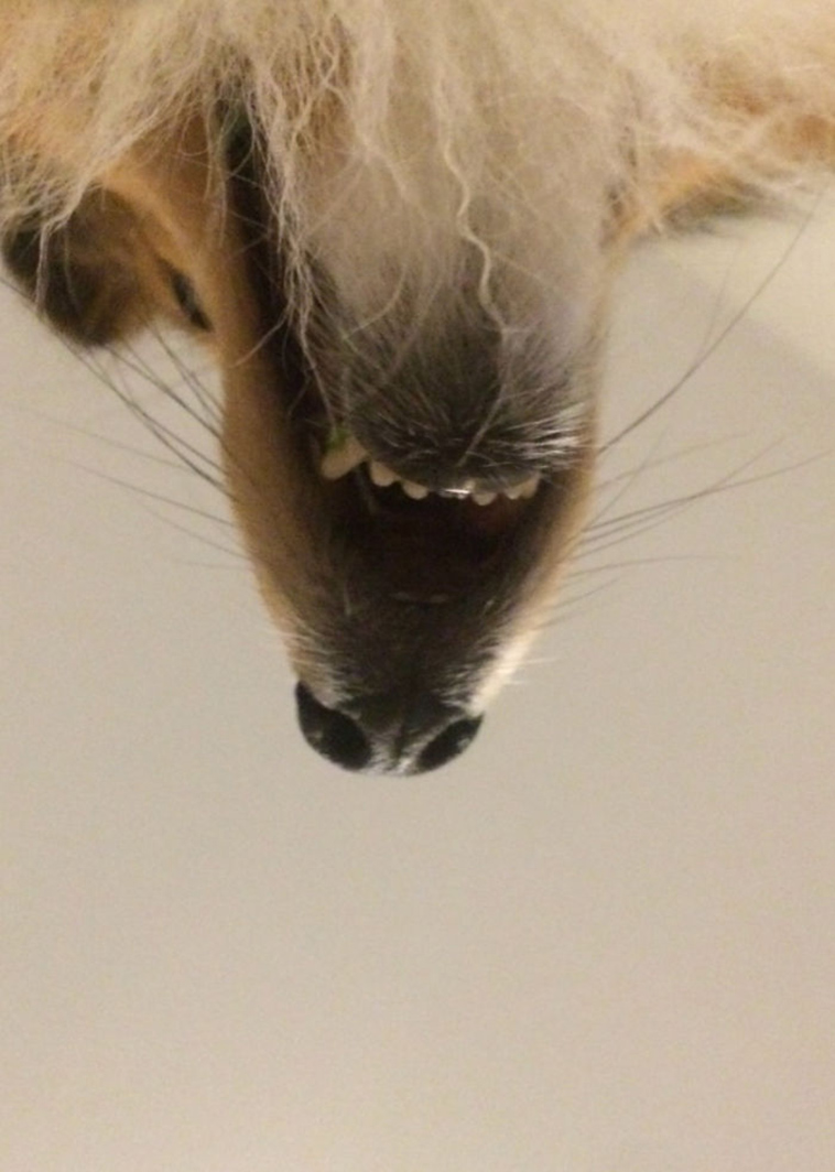 bearded men looking up are weird