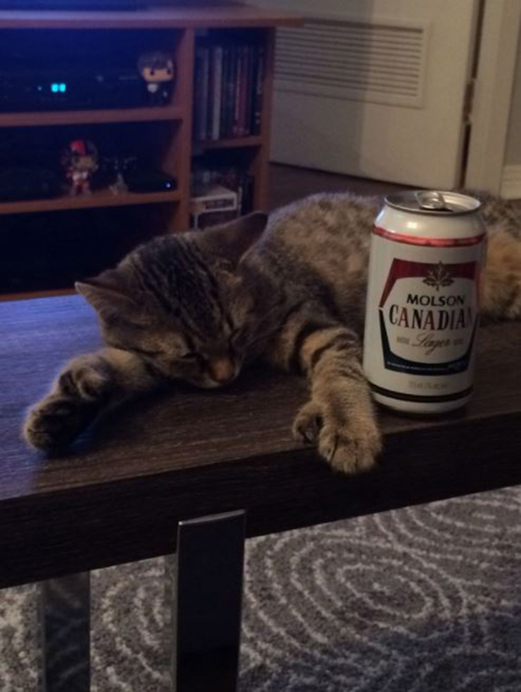 Cats With Thumbs