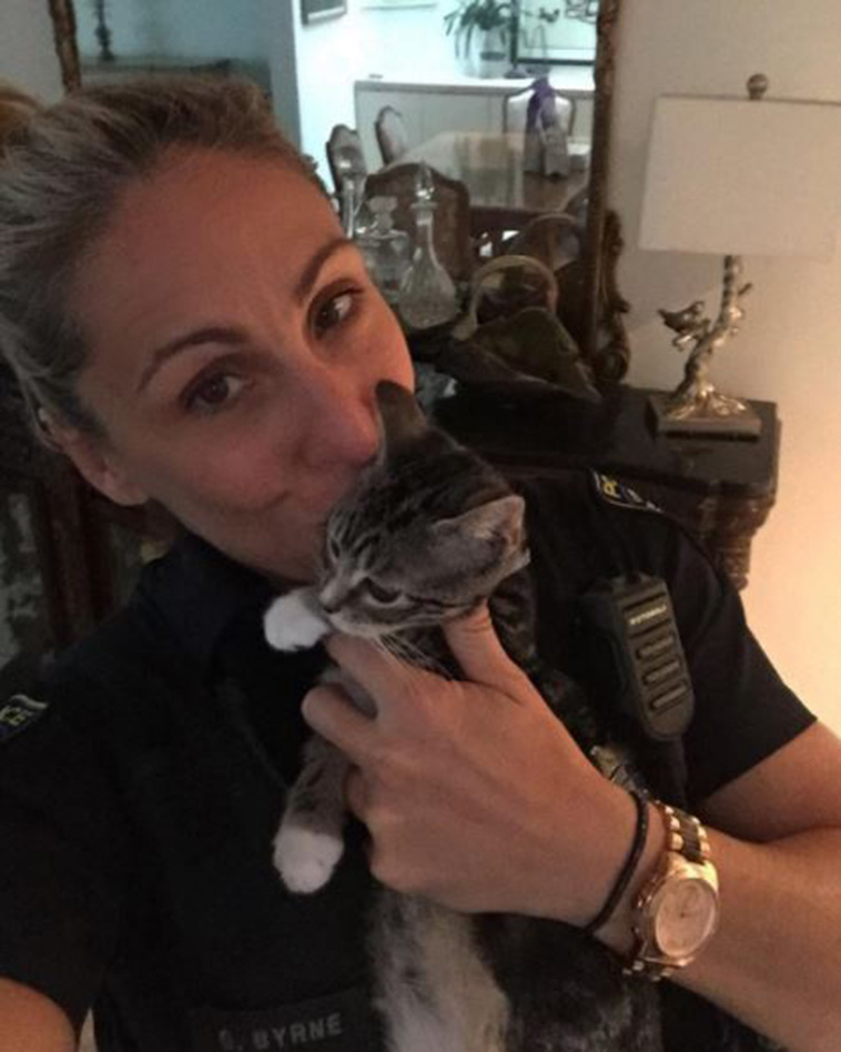 cop keeps finding abandoned kittens